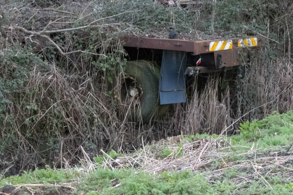 Zurueck zur Natur - (c) M Mueller.jpg